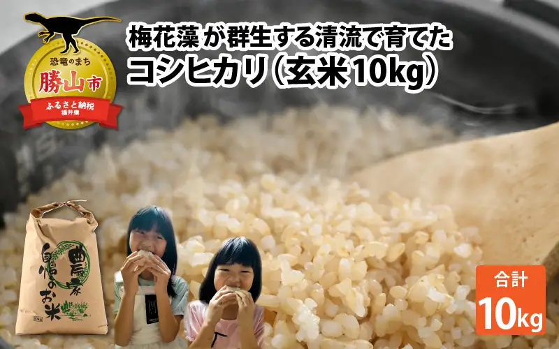 令和8年産 梅花藻が群生する清流で育てたコシヒカリ（玄米 10kg×1袋）※2026年9月下旬以降順次発送予定 [B-040029]