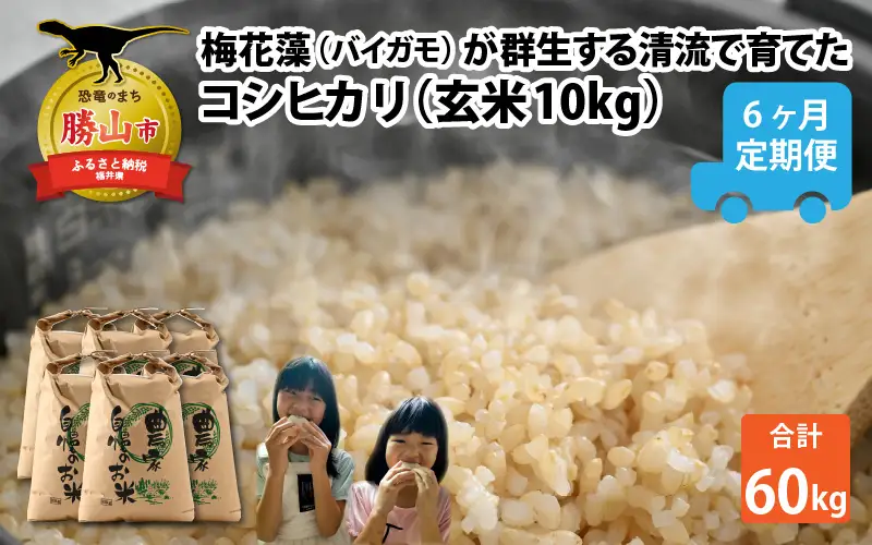 令和8年産 梅花藻が群生する清流で育てたコシヒカリ（玄米 10㎏）6か月定期便 計60kg ※2026年9月下旬以降順次発送予定[F-040006]