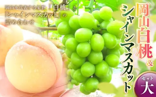 岡山白桃 ＆ シャインマスカット セット大 桃 香り 贈答 くだもの 果物 フルーツ 果実 もも モモ 白桃 ぶどう 葡萄 ブドウ マスカット 贈り物 【 2026年7月上旬～8月上旬発送予定 】