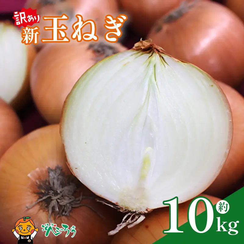 【訳あり】 新玉ねぎ 約10kg 【4月上旬頃～6月下旬頃発送予定】 | 新玉 新玉ねぎ 野菜 新玉葱 たまねぎ タマネギ 玉ねぎ 玉葱 野菜 愛媛 松山【VEG114】