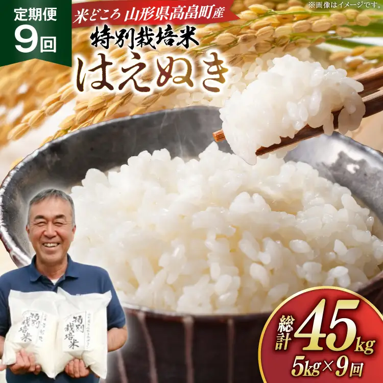 米 定期便 9回 令和8年産 特別栽培米 はえぬき 5kg 9回 計45kg [渡部ファーム 山形県 高畠町 tk06ays810051]