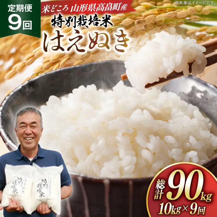 米 定期便 9回 令和8年産 特別栽培米 はえぬき 10kg 9回 計90kg [渡部ファーム 山形県 高畠町 tk06ays810050]