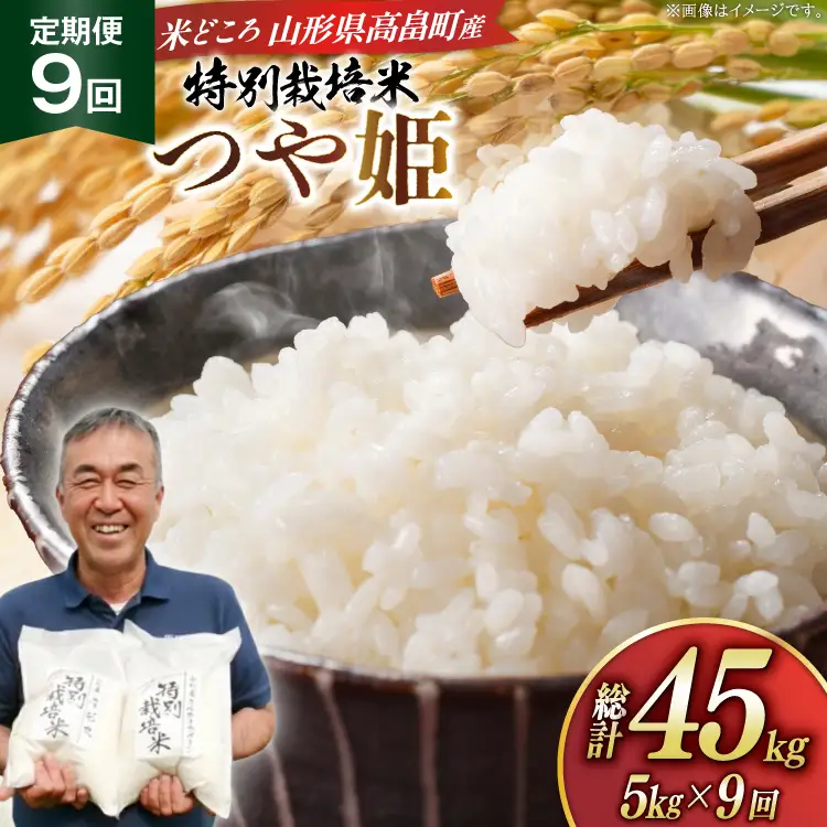 米 定期便 9回 令和8年産 特別栽培米 つや姫 5kg 9回 計45kg [渡部ファーム 山形県 高畠町 tk06ays810054]