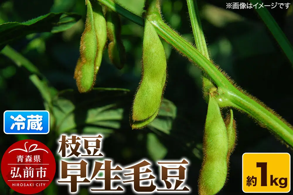 【26年8月下旬～クール便発送】枝豆 早生毛豆 約1kg まもる農園 青森県 弘前市