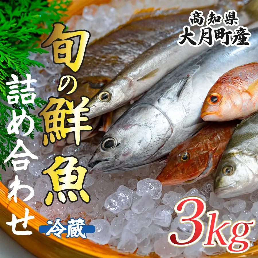 高知県産 鮮魚 詰め合わせ便 ３kg 谷鮮魚食堂 内臓未処理 産地直送 生魚 海鮮 セット 刺身 刺し身 煮付け カツオのたたき 詰合せ 食べ比べ グルメ 魚 お取り寄せ ギフト 贈答用 鮮魚セット 高知県 海鮮セット 大月町