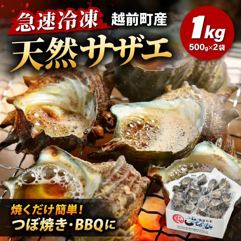 【先行予約】越前町産 天然 サザエ 1kg （500g×2袋）【2026年6月中旬より順次発送】【サザエ 海鮮】 [e15-a065]