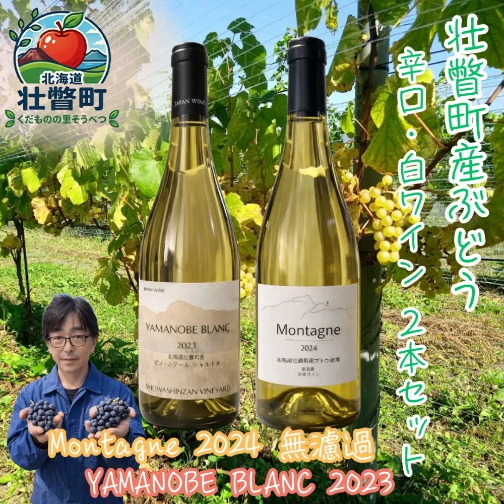 昭和新山ワイン YAMANOBE BLANC 2023(ヤマノベブラン）、Montagne 2024 無濾過(モンターニュ）白ワイン 辛口 750ml 各1本セット SBTQ014