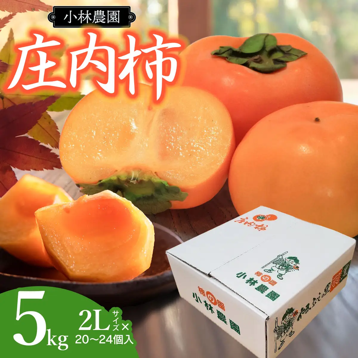 【令和8年産先行予約】　庄内柿　2Lサイズ　5kg（20～24個）　山形県鶴岡市　小林農園　| 柿 カキ 平核無柿 ひらたねなしかき 種無し柿 旬 期間限定 果物 フルーツ 甘い おいしい おすすめ お取り寄せ 返礼品