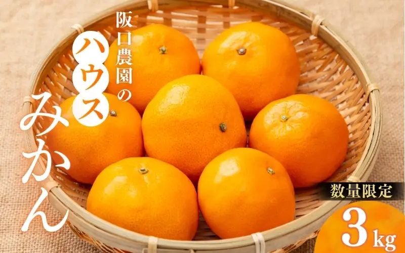 2S～2Ｌサイズ混合 3kg 阪口農園の ハウスみかん（マルチ栽培）【2026年7月中旬から7月末に順次発送予定】 / みかん 蜜柑 先行予約 数量限定 ミカン ハウス 温室【msa007】
