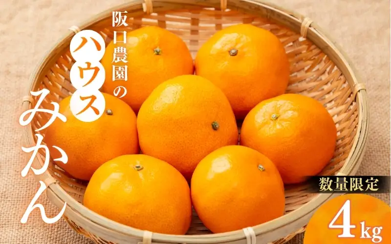 2S～2Ｌサイズ混合 4kg 阪口農園の ハウスみかん（マルチ栽培）【2026年7月中旬から7月末に順次発送予定】 / みかん 蜜柑 先行予約 数量限定 ミカン ハウス 温室【msa008】