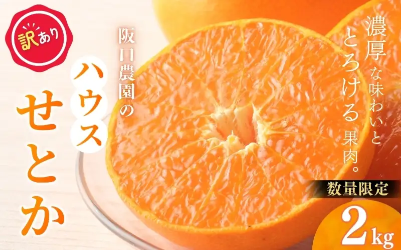 【先行予約】【訳あり】サイズ混合 2kg 阪口農園の ハウスせとか（マルチ栽培）【2027年2月中旬から3月中旬に順次発送予定】 わけあり せとか ハウス 温室 みかん ミカン 蜜柑 柑橘 フルーツ 果物 くだもの 旬 産地直送 農家直送【msa010】