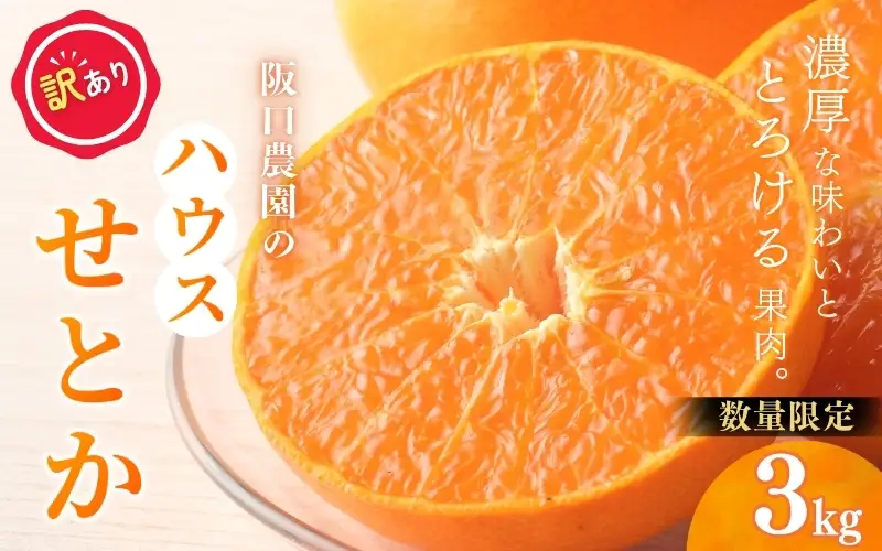 【先行予約】【訳あり】サイズ混合 3kg 阪口農園の ハウスせとか（マルチ栽培）【2027年2月中旬から3月中旬に順次発送予定】 わけあり せとか ハウス 温室 みかん ミカン 蜜柑 柑橘 フルーツ 果物 くだもの 旬 産地直送 農家直送【msa011】