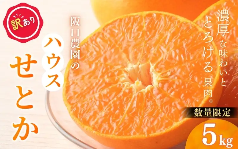 【先行予約】【訳あり】サイズ混合 5kg 阪口農園の ハウスせとか（マルチ栽培）【2027年2月中旬から3月中旬に順次発送予定】 わけあり せとか ハウス 温室 みかん ミカン 蜜柑 柑橘 フルーツ 果物 くだもの 旬 産地直送 農家直送【msa013】