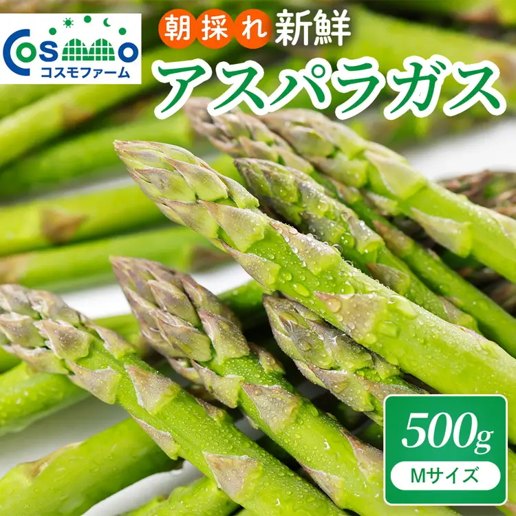 朝採り新鮮アスパラガス 500g【Mサイズ】 | 野菜 アスパラガス グリーンアスパラ 旬 とれたて 春野菜 春 朝採り 朝採れ とれたて 新鮮 みずみずしい サラダ 甘い お取り寄せ 産地直送 冷蔵 岐阜県 瑞穂市