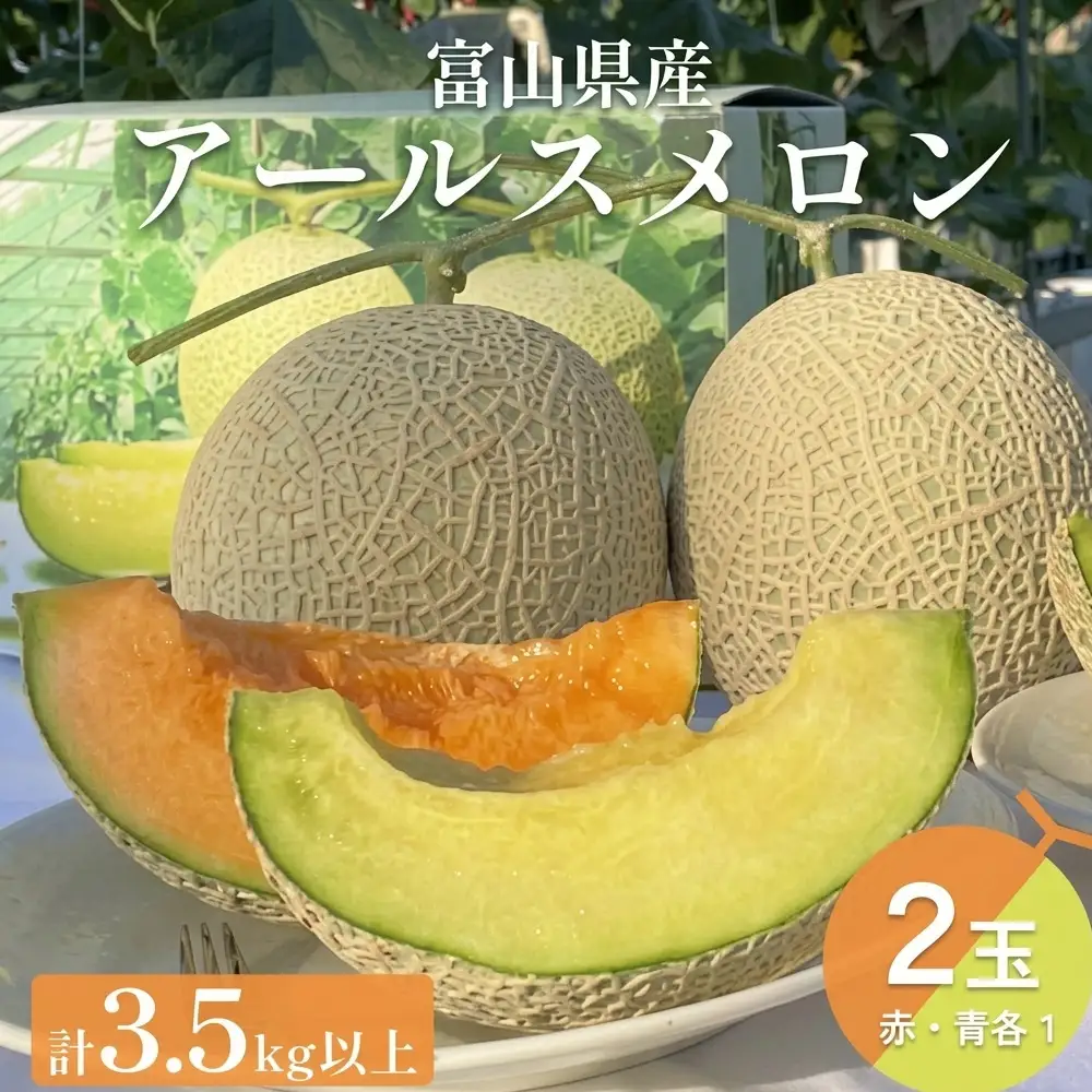〈先行予約〉 アールスメロン 2個セット 計3.5kg以上（青肉１個、赤肉１個） ＜2026年6月下旬以降発送＞ 【贈答用】【秀品】