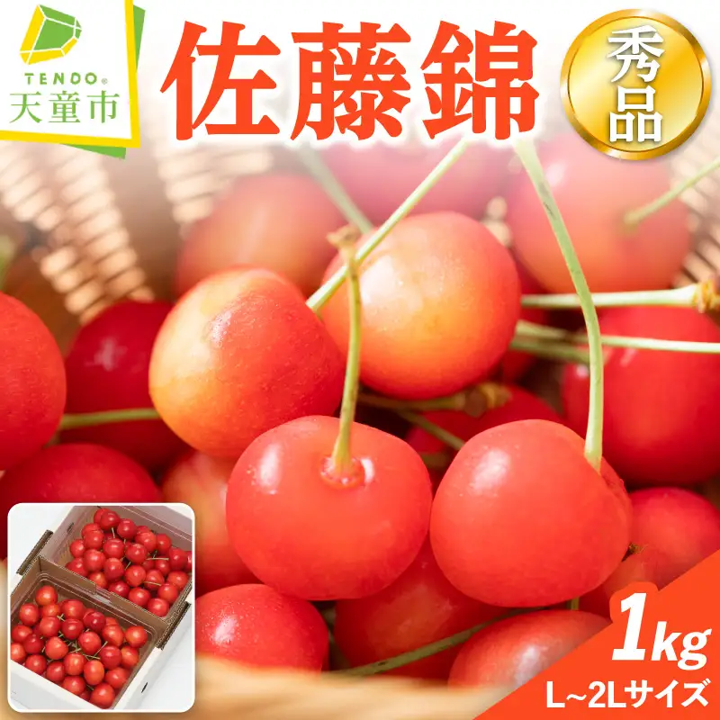 さくらんぼ 佐藤錦 1kg 山形 さくらんぼ 08-03-021
