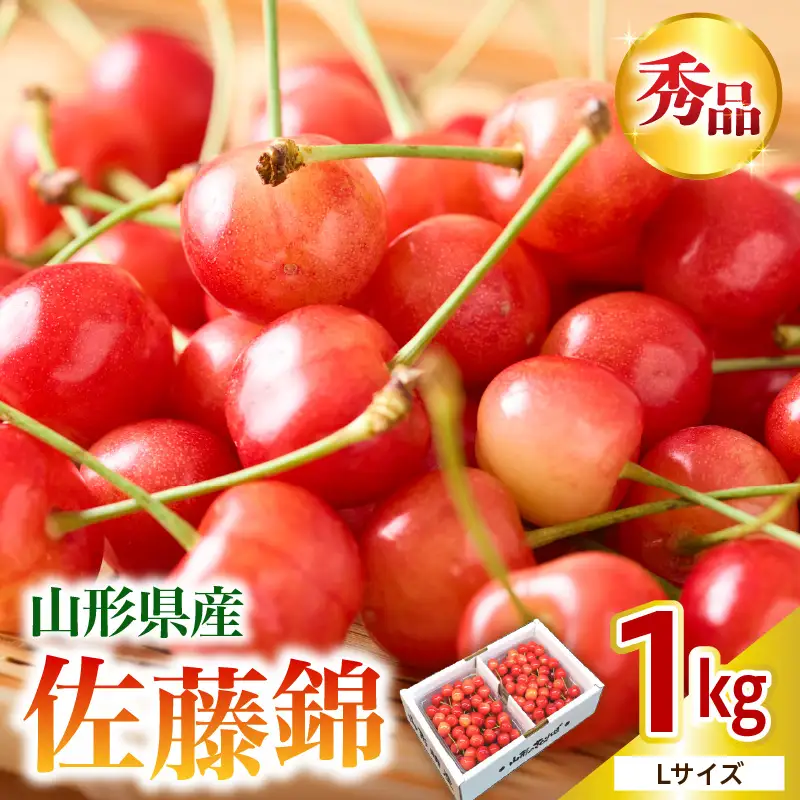 さくらんぼ 佐藤錦 1kg さくらんぼ 08-10-029