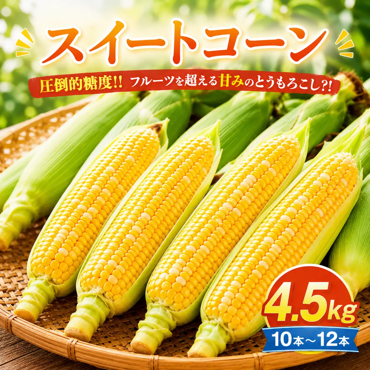とうもろこし 10-12本セット 柳川市産 トウモロコシ