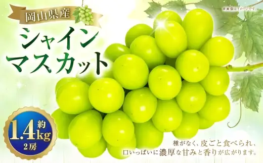 シャインマスカット 2房 約1.4kg マスカット 葡萄 くだもの 果物 フルーツ 果実 ぶどう ブドウ 皮ごと 種無し ギフト 贈答 贈り物 果汁 国産 岡山県産 【 2026年10月下旬～11月下旬発送予定 】