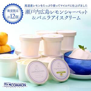 【数量限定】瀬戸内広島レモンシャーベット＆バニラアイスクリームセットＭ