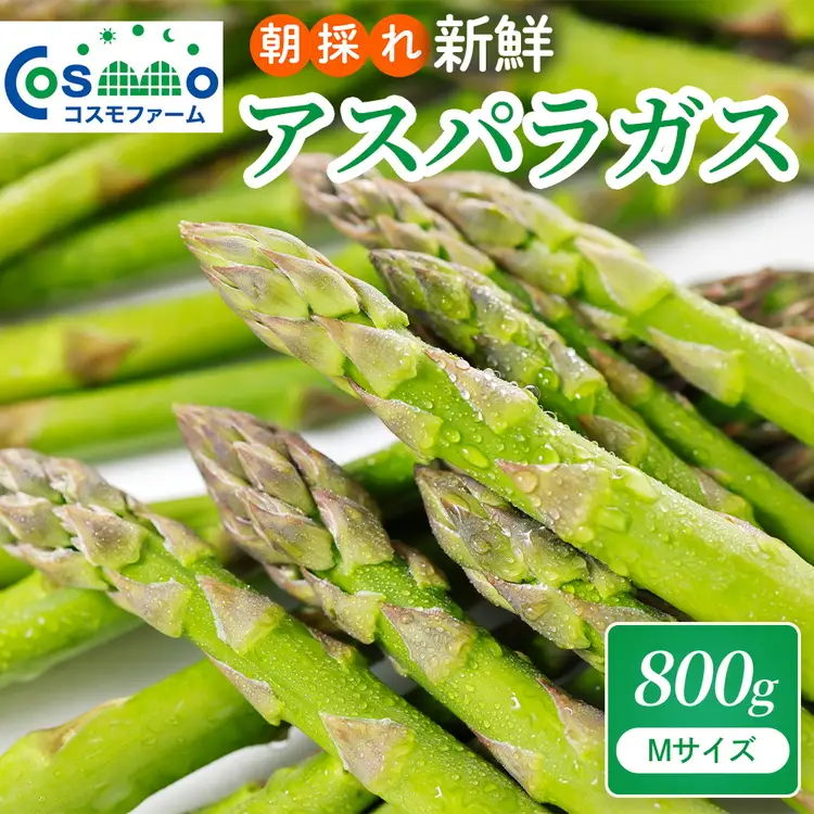 朝採り新鮮アスパラガス 800g【Mサイズ】 | 野菜 アスパラガス グリーンアスパラ 旬 とれたて 春野菜 春 朝採り 朝採れ とれたて 新鮮 みずみずしい サラダ 甘い お取り寄せ 産地直送 冷蔵 岐阜県 瑞穂市
