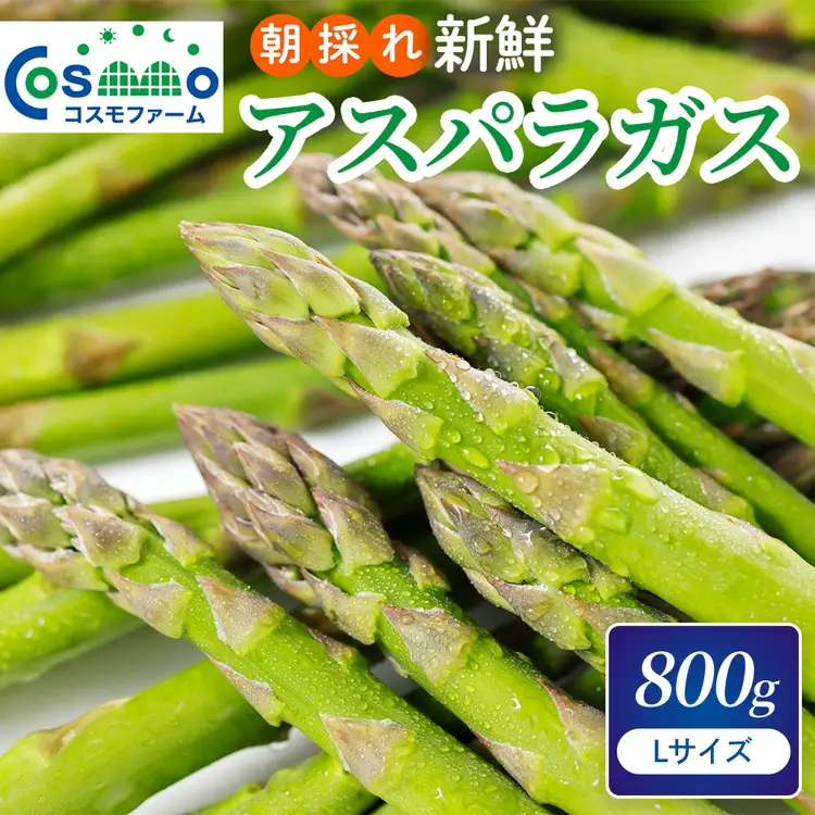 朝採り新鮮アスパラガス 800g【Lサイズ】 | 野菜 アスパラガス グリーンアスパラ 旬 とれたて 春野菜 春 朝採り 朝採れ とれたて 新鮮 みずみずしい サラダ 甘い お取り寄せ 産地直送 冷蔵 岐阜県 瑞穂市