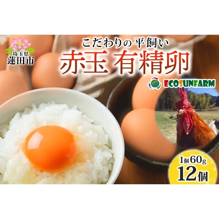 エコサンファーム 平飼い 赤玉有精卵 12個 赤玉 有精卵 こだわり 国産 鶏卵 鶏 発酵飼料 たまご かけご飯 料理 スイーツ お取り寄せ 産地直送 朝食 埼玉県 蓮田市