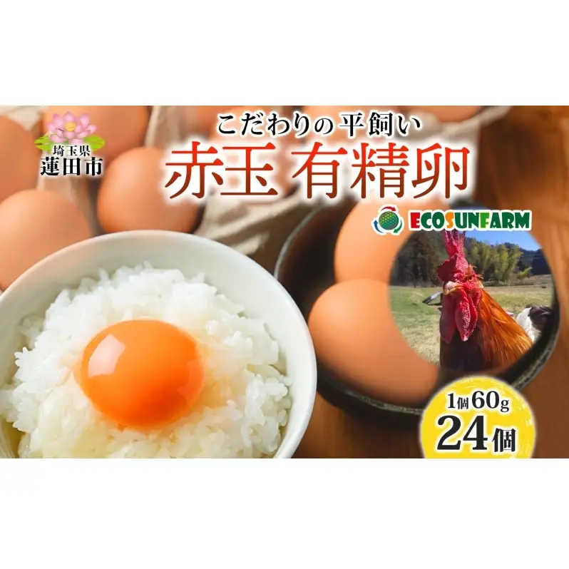 エコサンファーム 平飼い 赤玉有精卵 24個 赤玉 有精卵 こだわり 国産 鶏卵 鶏 発酵飼料 たまご かけご飯 料理 スイーツ お取り寄せ 産地直送 朝食 埼玉県 蓮田市