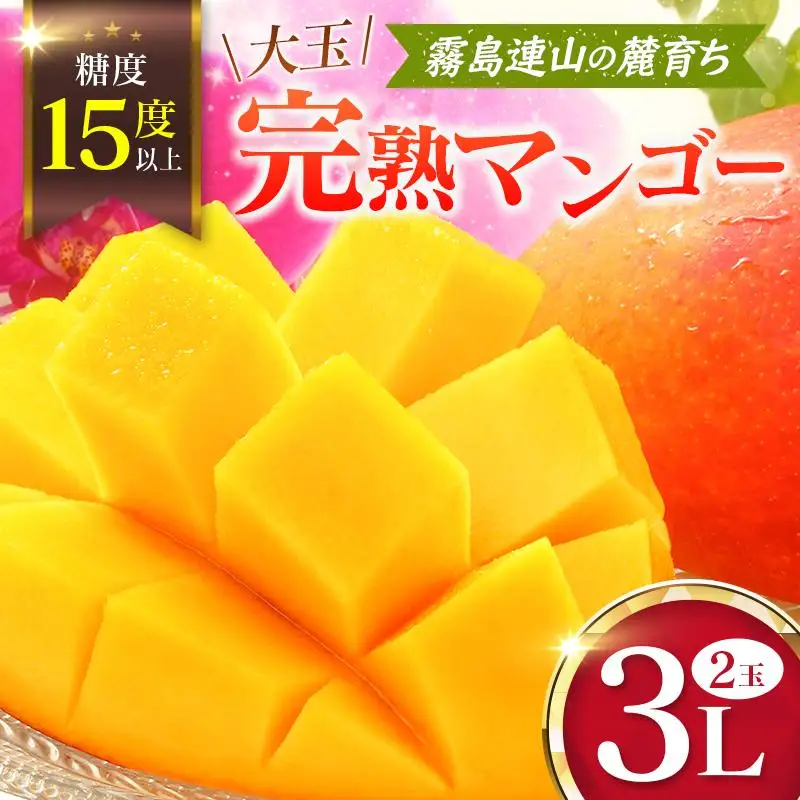 《甘い!!糖度15度以上》 宮崎 樹上完熟 マンゴー 3Lサイズ×2玉 霧島連山の麓育ち 宮崎県産 トロピカル フルーツ お取り寄せ 果物 旬