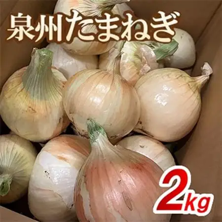 《無選別約2kg|数量限定》泉州たまねぎ　栽培期間中除草剤・殺菌剤不使用【1734819】