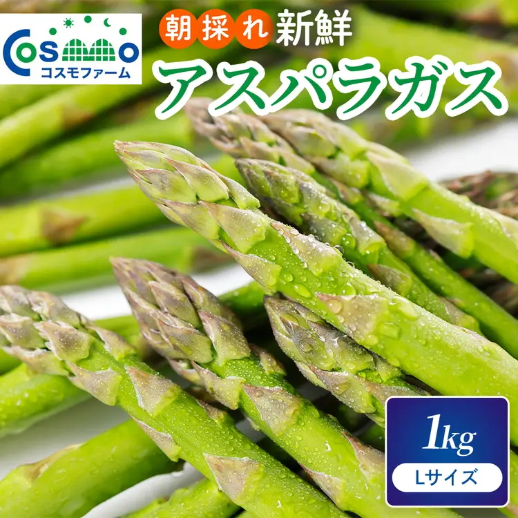 朝採り新鮮アスパラガス 1kg【Lサイズ】 | 野菜 アスパラガス グリーンアスパラ 旬 とれたて 春野菜 春 朝採り 朝採れ とれたて 新鮮 みずみずしい サラダ 甘い お取り寄せ 産地直送 冷蔵 岐阜県 瑞穂市