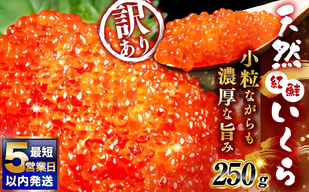 7月発送 紅鮭いくら醤油漬け 250g 冷凍 年末年始 いくら 鮭いくら ご飯のお供 ご飯 米 北海道 釧路市
