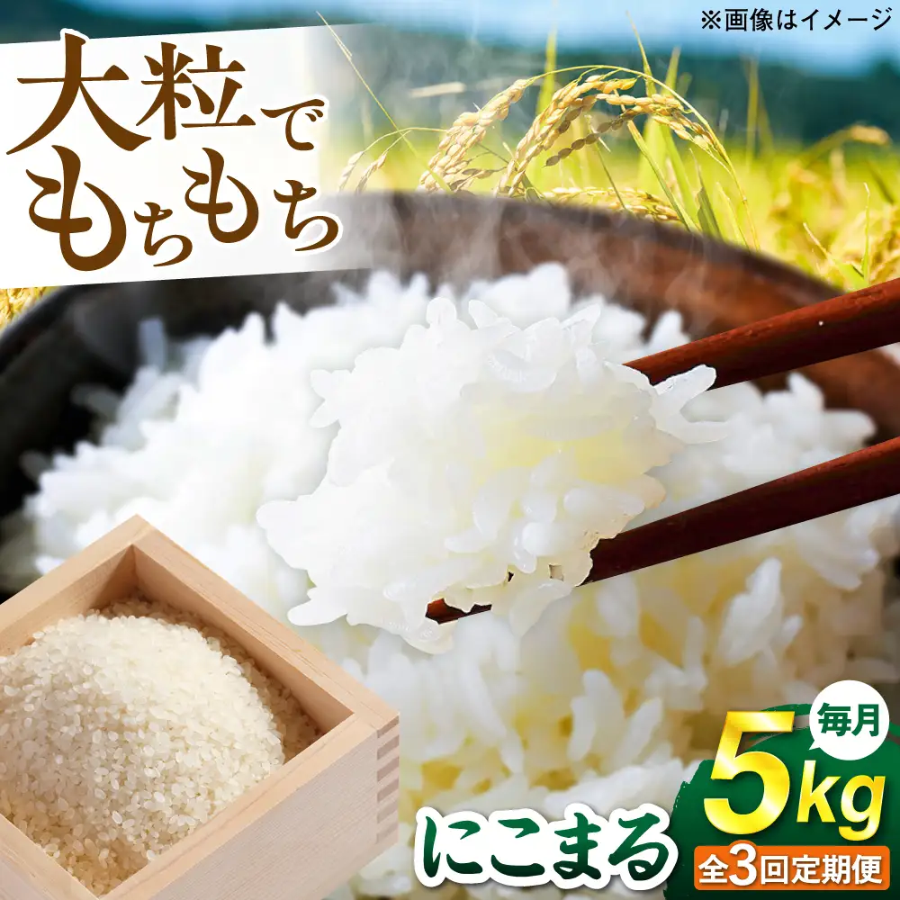 【全3回定期便】 にこまる 玄米品質1等米 白米 5kg 糸島市産 糸島市 / 糸島の恵み コメ こめ ご飯[AGR008]