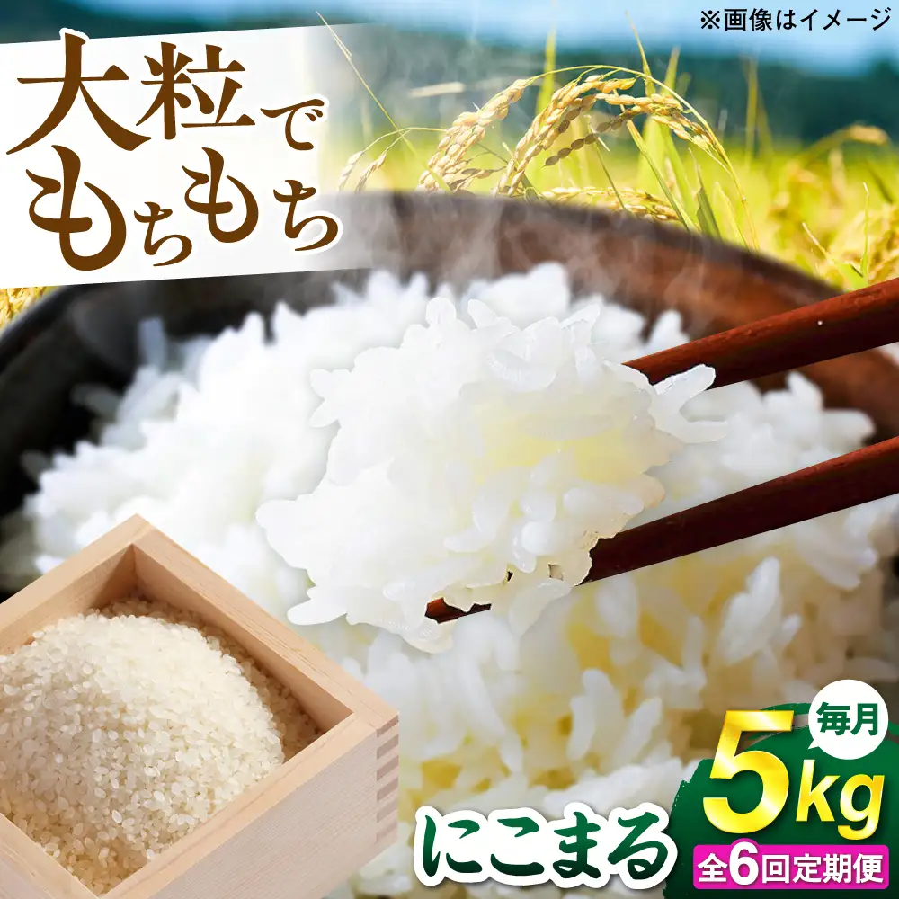 【全6回定期便】 にこまる 玄米品質1等米 白米 5kg 糸島市産 糸島市 / 糸島の恵み コメ こめ ご飯[AGR009]