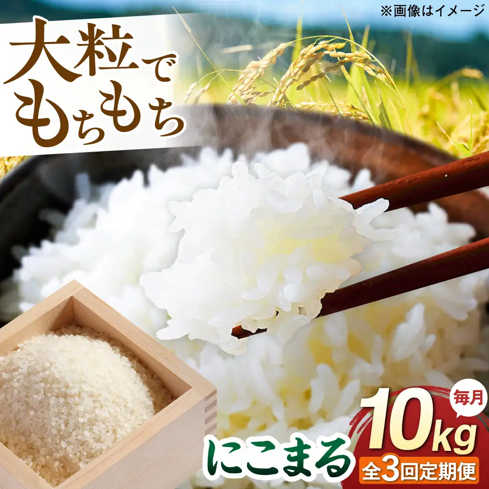 【全3回定期便】 にこまる 玄米品質1等米 白米 10kg 糸島市産 糸島市 / 糸島の恵み コメ こめ ご飯[AGR011]