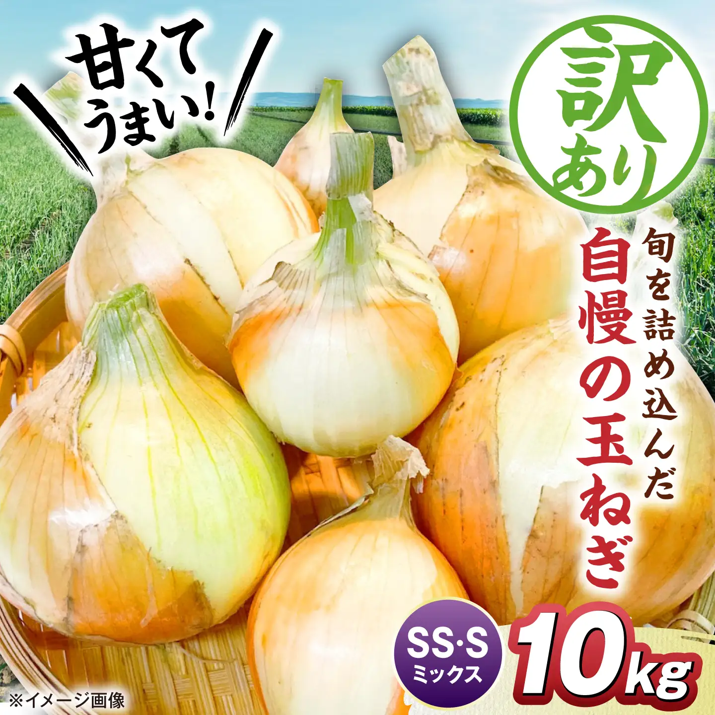 【先行予約】【訳あり】玉ねぎ10kg（SS・Sサイズミックス）[AQDZ002]玉ねぎ