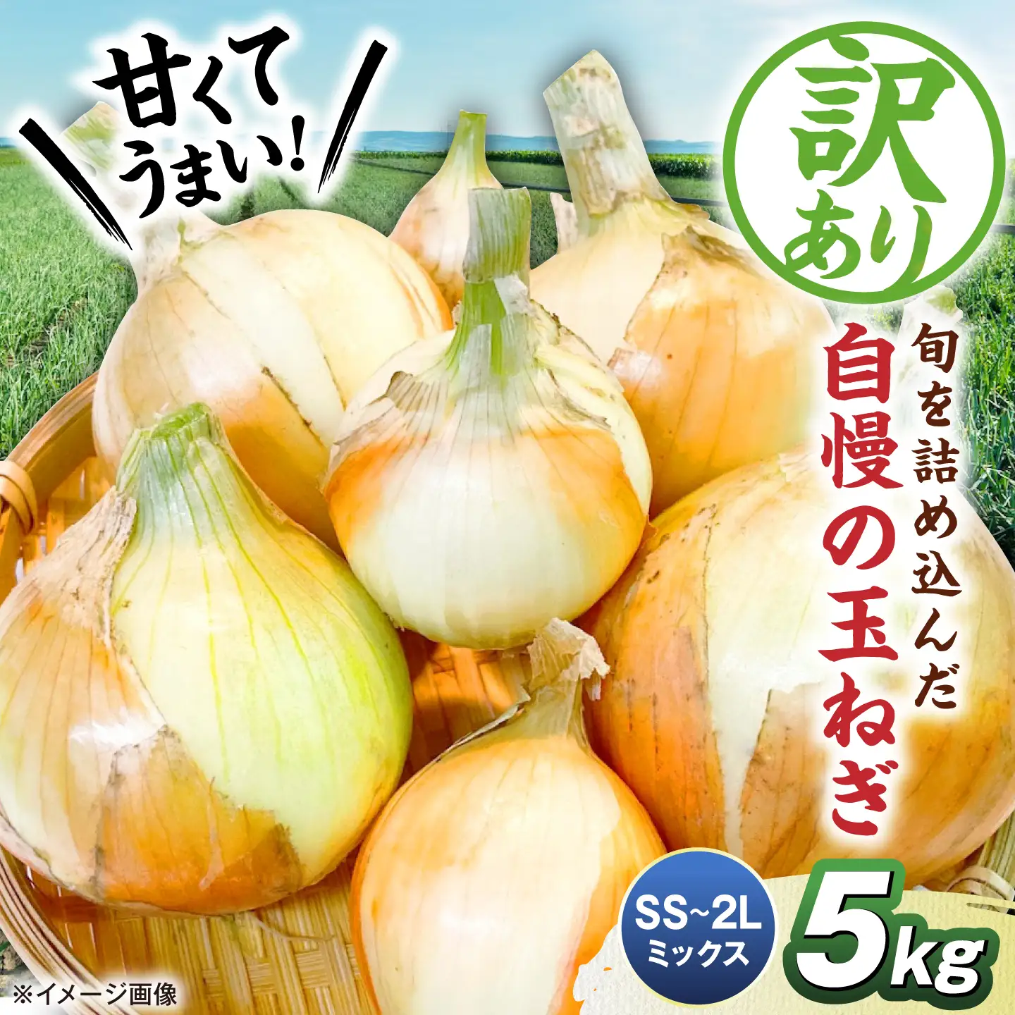 【先行予約】【訳あり】玉ねぎ5kg（全サイズミックス）[AQDZ003]玉ねぎ