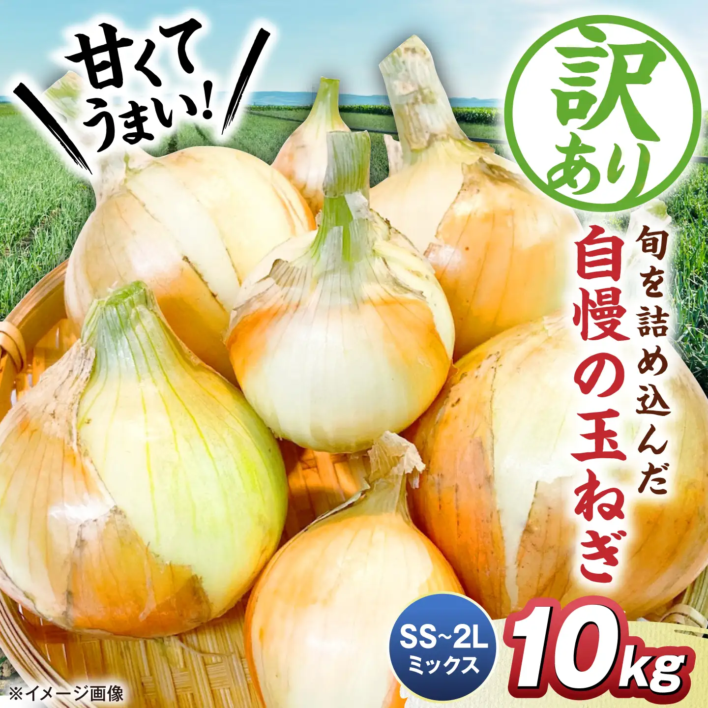 【先行予約】【訳あり】玉ねぎ10kg（全サイズミックス）[AQDZ004]玉ねぎ