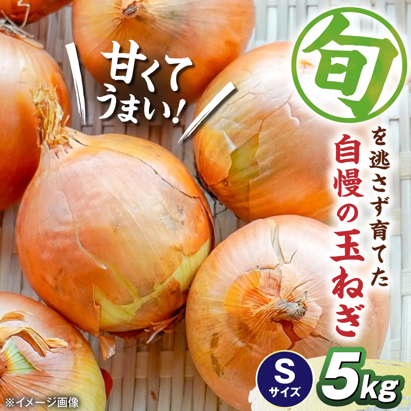 【先行予約】玉ねぎ5kg（Sサイズ）[AQDZ005]玉ねぎ