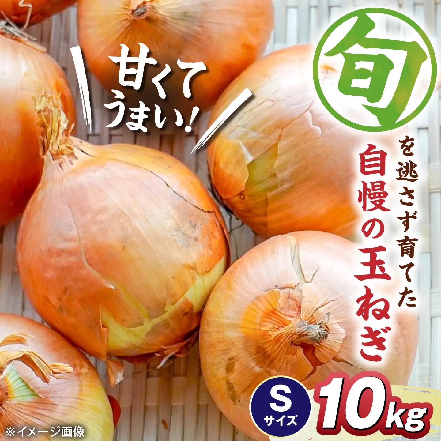 【先行予約】玉ねぎ10kg（Sサイズ）[AQDZ009]玉ねぎ