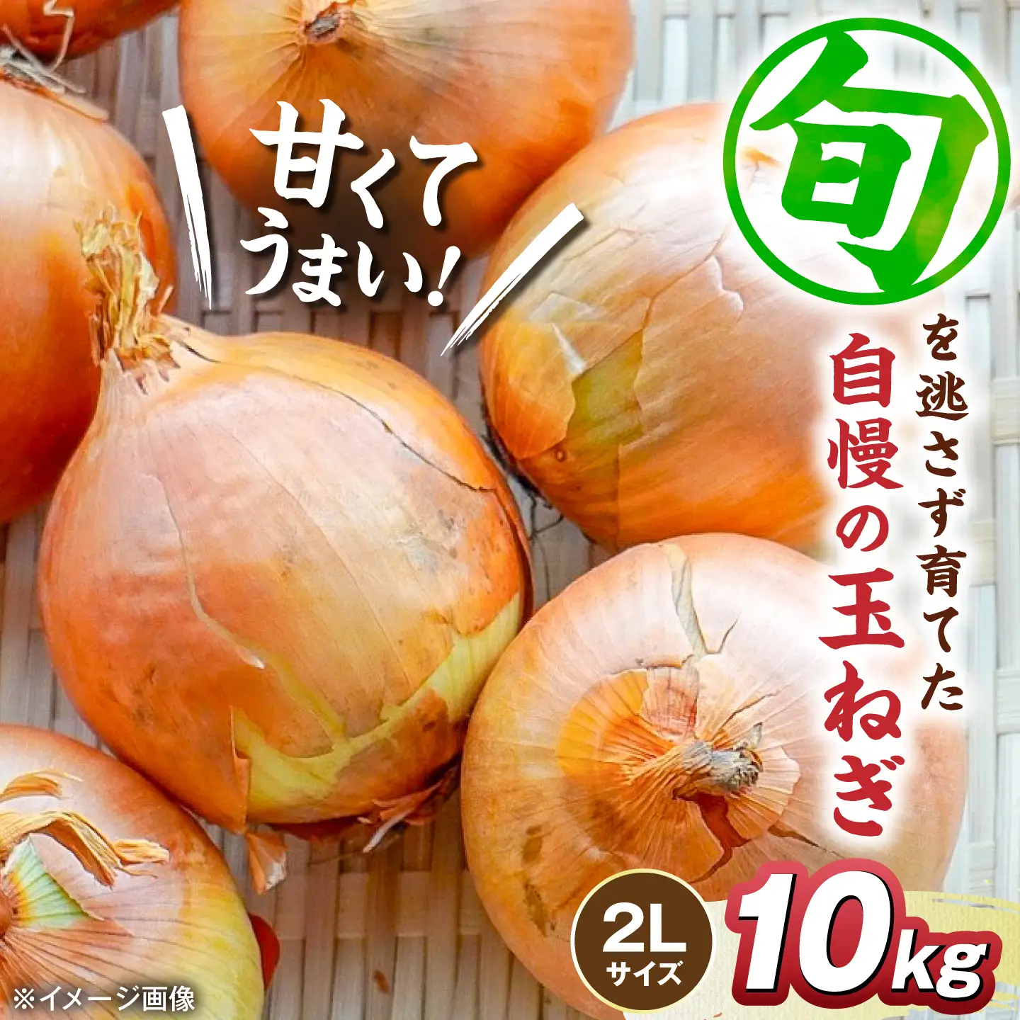 【先行予約】玉ねぎ10kg（2Lサイズ）[AQDZ012]玉ねぎ