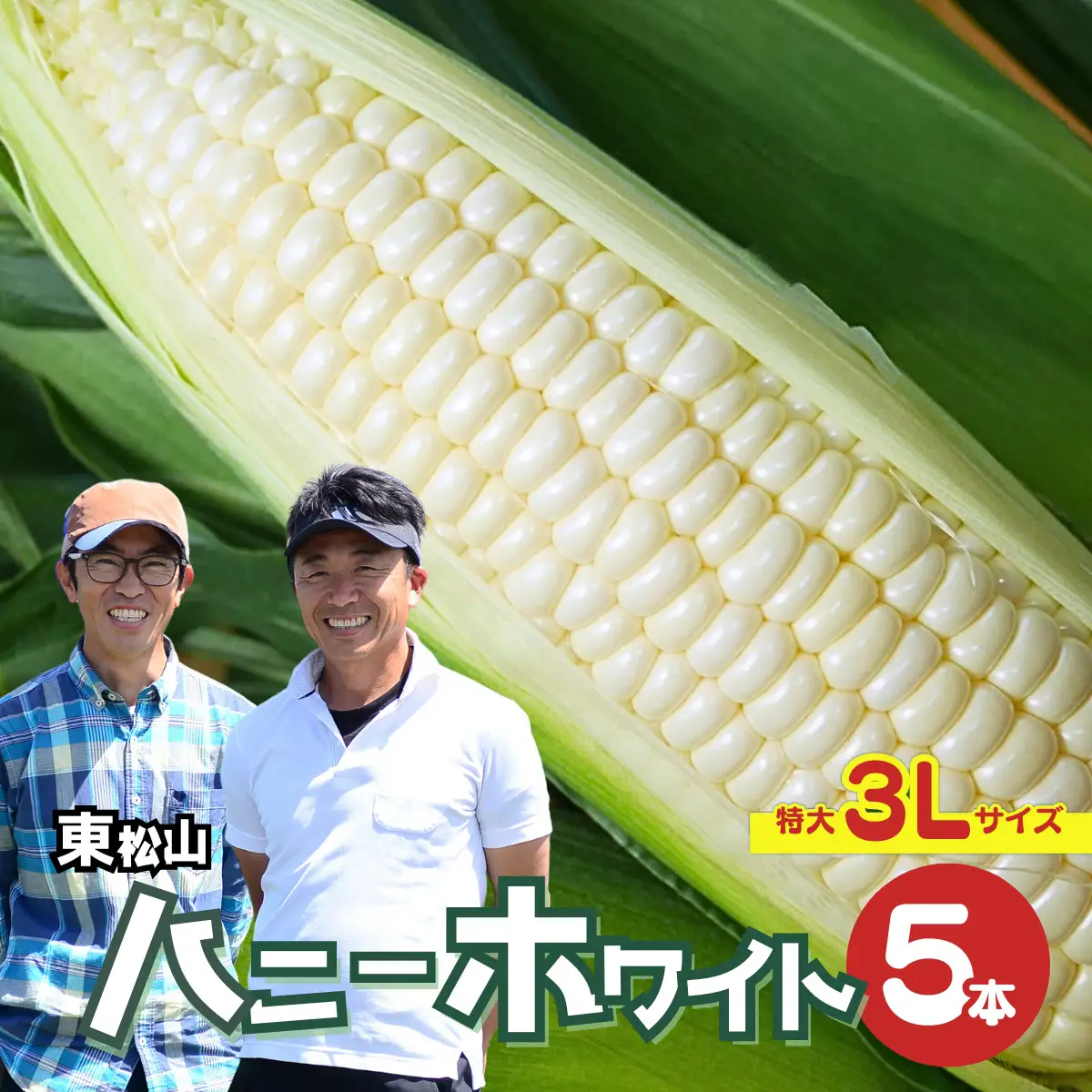ハニーホワイト 5本 ＜先行予約＞ 特大サイズ(3L) ハニーホワイト 東松山市