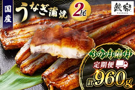 うなぎ 蒲焼 定期便 ＜計3回＞ 鰻 2尾 （計960g） 国産 ウナギ 3か月 隔月 人気 ギフト 贈答品 おすすめ 小分け 宮崎県 高鍋町 名物【MR-g-002】