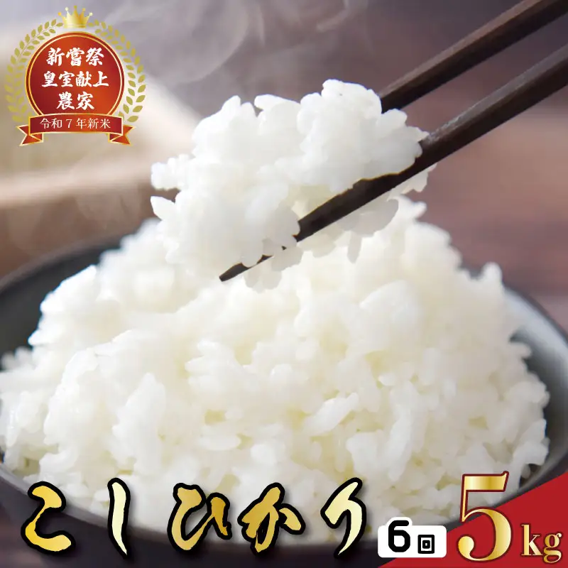 【令和8年産】 新米 定期便 5kg×6回 コシヒカリ 新米 AS019