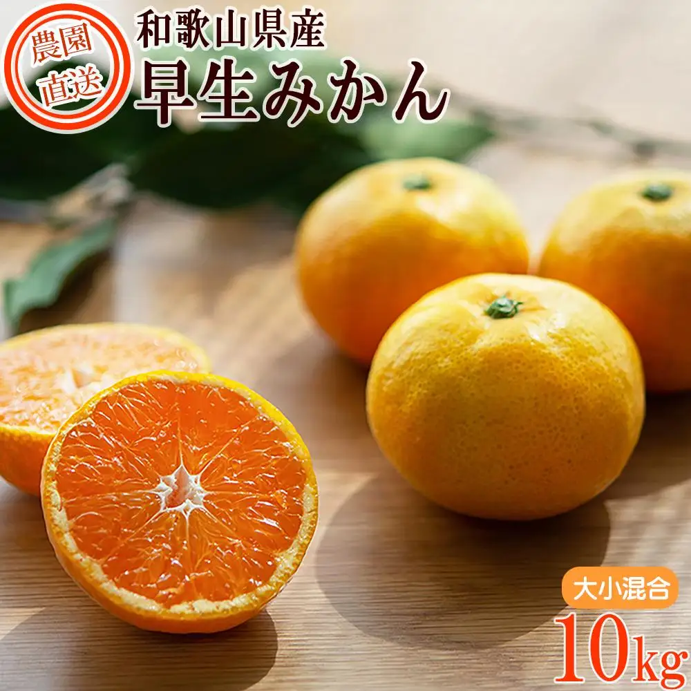 早生みかん 約10kg 大小混合サイズ 《ご家庭用》 ちょっと訳あり 和歌山県産 農園直送 まごころ産直みかん 【北海道・沖縄県・一部離島 配送不可】混合サイズ ミカン 蜜柑 温州みかん わけあり 訳アリ［Mg12］
