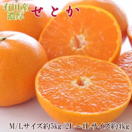 一度は食べていただきたい「有田産のせとか」約4kg～5kg(サイズおまかせ)【日高町】【1733669】
