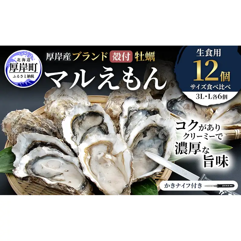 厚岸産 ブランド 殻付カキ マルえもん 生食用 サイズ食べ比べ 12個 (3L・L各6個)[ 魚貝類 生牡蠣 かき 牡蠣 カキ 生ガキ 食べ比べ ]