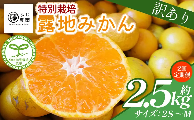 【2回定期便】ふじ農園の露地みかん 訳あり品 2.5kg(2S～M)  みかん Wfn-0019