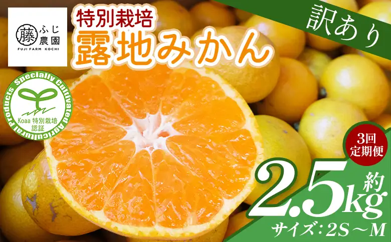 【3回定期便】ふじ農園の露地みかん 訳あり品 2.5kg(2S～M) みかん Wfn-0020
