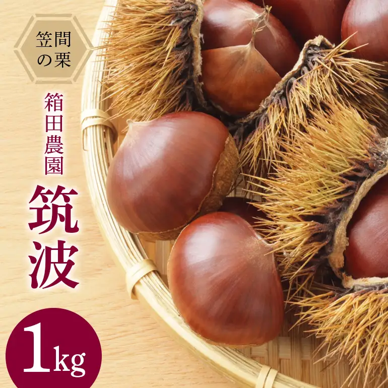 笠間の栗・箱田農園の生栗「筑波 」1kg JN-006